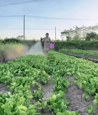 Irrigazione giardino con idropulitrice